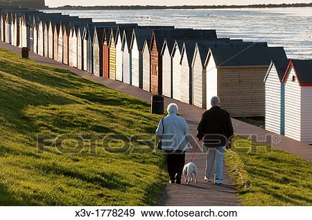 Europe, UK, England, Kent - An elderly couple walking with their dog behind the beach huts at Herne Bay View Large Photo Image Stock Photo - Europe, UK, England, Kent - An elderly couple walking with their dog behind the beach huts at Herne Bay. Fotosearch