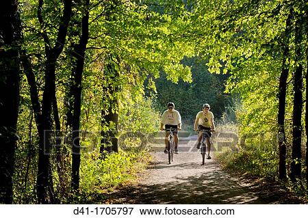 Europe, UK, England, Surrey cycling View Large Photo Image Stock Photo - Europe, UK, England, Surrey cycling. Fotosearch
