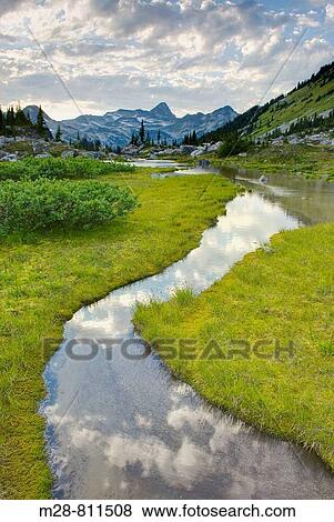 Eveing clouds reflected in stream flowing in an alpine basin of Mount Rohr, Coast Mountains British Columbia Canada View Large Photo Image Stock Photo - Eveing clouds reflected in stream flowing in an alpine basin of Mount Rohr, Coast Mountains British Columbia Canada. Fotosearch