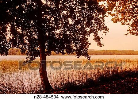 Evening in Banyoles lake. Girona province. Catalunya. Spain. View Large Photo Image Picture - Evening in Banyoles lake. Girona province. Catalunya. Spain.. Fotosearch