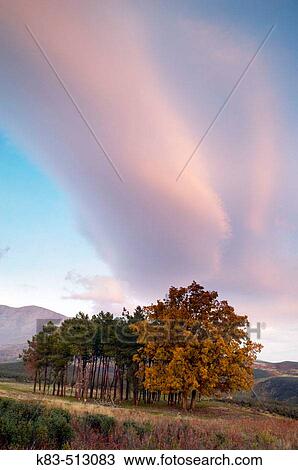 Evening in Sierra de Gredos.? vila province, Castilla-Le? n, Spain View Large Photo Image Stock Image - Evening in Sierra de Gredos.? vila province, Castilla-Le? n, Spain. Fotosearch