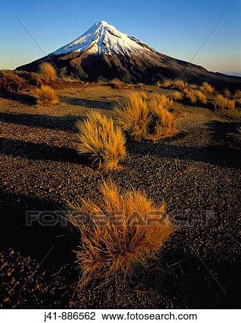 Evening light on Mt Taranaki Egmont National Park New Zealand View Large Photo Image Stock Image - Evening light on Mt Taranaki Egmont National Park New Zealand. Fotosearch