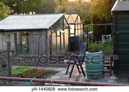 Evening sun in allotment, Netherlands View Large Photo Image Stock Photo - Evening sun in allotment, Netherlands. Fotosearch