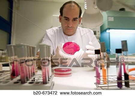 Examining plates, Laboratory of Diagnosis, Departamento de Producci? n y Sanidad Animal, Neiker Tecnalia, Instituto de Investigaci? n y Desarrollo Agrario, Ganadero, Forestal y del Medio Natural, Derio, Bizkaia, Euskadi, Spain View Large Photo Image Stock Image - Examining plates, Laboratory of Diagnosis, Departamento de Producci? n y Sanidad Animal, Neiker Tecnalia, Instituto de Investigaci? n y Desarrollo Agrario, Ganadero, Forestal y del Medio Natural, Derio, Bizkaia, Euskadi, Spain. Fotosearch