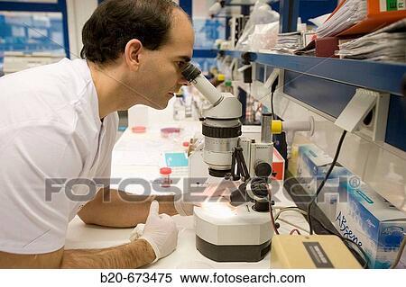 Examining plates, Laboratory of Diagnosis, Departamento de Producci? n y Sanidad Animal, Neiker Tecnalia, Instituto de Investigaci? n y Desarrollo Agrario, Ganadero, Forestal y del Medio Natural, Derio, Bizkaia, Euskadi, Spain View Large Photo Image Stock Photography - Examining plates, Laboratory of Diagnosis, Departamento de Producci? n y Sanidad Animal, Neiker Tecnalia, Instituto de Investigaci? n y Desarrollo Agrario, Ganadero, Forestal y del Medio Natural, Derio, Bizkaia, Euskadi, Spain. Fotosearch