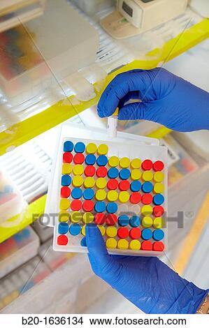 Experimental phase clinical trial, Storage of samples in freezer, Clinical Trials Unit, Testing in Phase 1, the first drug administration in humans View Large Photo Image Picture - Experimental phase clinical trial, Storage of samples in freezer, Clinical Trials Unit, Testing in Phase 1, the first drug administration in humans. Fotosearch