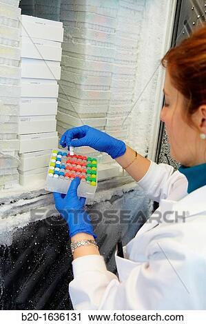 Experimental phase clinical trial, Storage of samples in freezer, Clinical Trials Unit, Testing in Phase 1, the first drug administration in humans View Large Photo Image Stock Image - Experimental phase clinical trial, Storage of samples in freezer, Clinical Trials Unit, Testing in Phase 1, the first drug administration in humans. Fotosearch