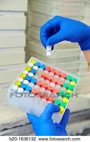 Experimental phase clinical trial, Storage of samples in freezer, Clinical Trials Unit, Testing in Phase 1, the first drug administration in humans View Large Photo Image Stock Image - Experimental phase clinical trial, Storage of samples in freezer, Clinical Trials Unit, Testing in Phase 1, the first drug administration in humans. Fotosearch