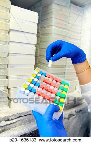 Experimental phase clinical trial, Storage of samples in freezer, Clinical Trials Unit, Testing in Phase 1, the first drug administration in humans View Large Photo Image Stock Image - Experimental phase clinical trial, Storage of samples in freezer, Clinical Trials Unit, Testing in Phase 1, the first drug administration in humans. Fotosearch