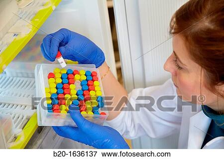 Experimental phase clinical trial, Storage of samples in freezer, Clinical Trials Unit, Testing in Phase 1, the first drug administration in humans View Large Photo Image Stock Photo - Experimental phase clinical trial, Storage of samples in freezer, Clinical Trials Unit, Testing in Phase 1, the first drug administration in humans. Fotosearch