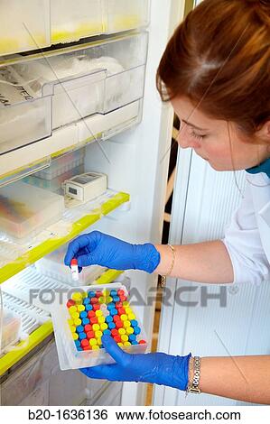 Experimental phase clinical trial, Storage of samples in freezer, Clinical Trials Unit, Testing in Phase 1, the first drug administration in humans View Large Photo Image Stock Photograph - Experimental phase clinical trial, Storage of samples in freezer, Clinical Trials Unit, Testing in Phase 1, the first drug administration in humans. Fotosearch