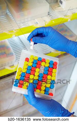 Experimental phase clinical trial, Storage of samples in freezer, Clinical Trials Unit, Testing in Phase 1, the first drug administration in humans View Large Photo Image Stock Photography - Experimental phase clinical trial, Storage of samples in freezer, Clinical Trials Unit, Testing in Phase 1, the first drug administration in humans. Fotosearch