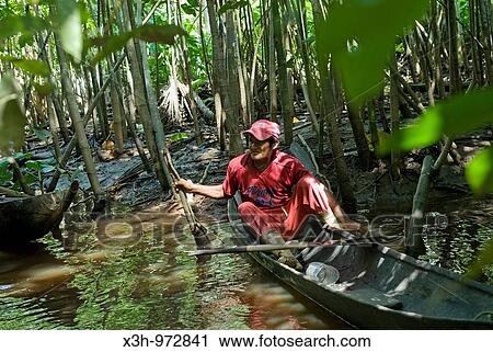 Stock Image - exploration with dugout canoe of the rainforest on Orinoco river bank, Bolivarian Republic of Venezuela, South America. Fotosearch