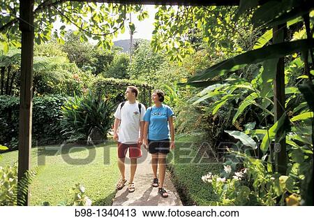 Exploring the Diamond Botanical Gardens Saint Lucia, West Indies View Large Photo Image Stock Image - Exploring the Diamond Botanical Gardens Saint Lucia, West Indies. Fotosearch