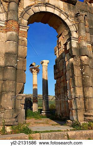 Exterior of the Basilica at Volubilis. View Large Photo Image Stock Photograph - Exterior of the Basilica at Volubilis.. Fotosearch