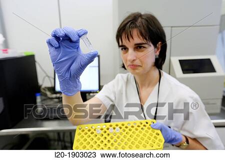 Stock Image - Extraction of DNA from lung tumor biopsies for EGFR gene mutation study for possible treatment with anti-EGFR. Fotosearch