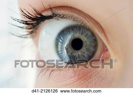 Stock Photograph - eye blue close up.. Fotosearch