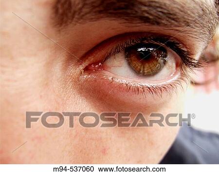 Eye View Large Photo Image Stock Image - Eye. Fotosearch