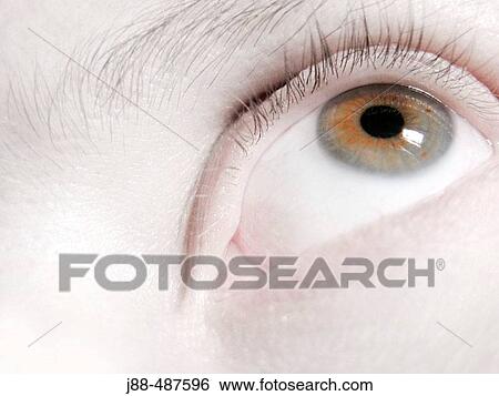 Eye View Large Photo Image Stock Photograph - Eye. Fotosearch