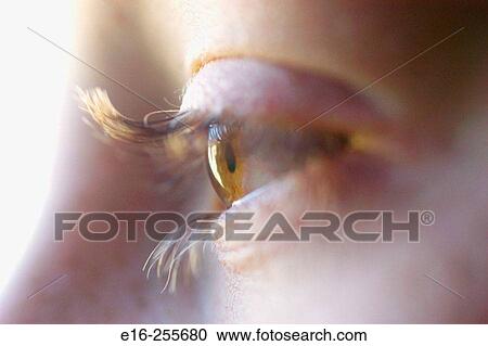 eyes of a boy View Large Photo Image Stock Image - eyes of a boy. Fotosearch