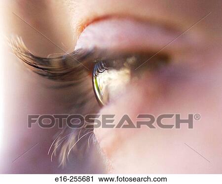 eyes of a boy View Large Photo Image Stock Image - eyes of a boy. Fotosearch