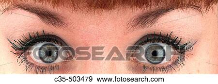 Eyes View Large Photo Image Stock Photo - Eyes. Fotosearch