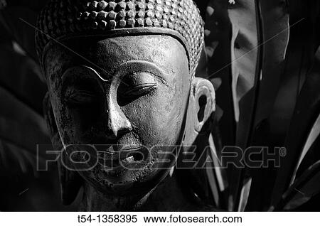 Face of a Buddha View Large Photo Image Stock Photography - Face of a Buddha. Fotosearch