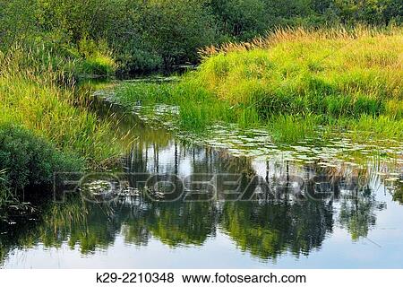 Fairbank Creek in late summer, Greater Sudbury, Ontario, Canada. View Large Photo Image Stock Photo - Fairbank Creek in late summer, Greater Sudbury, Ontario, Canada.. Fotosearch