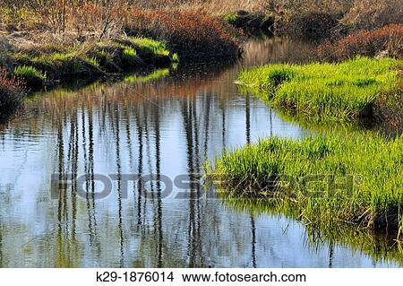 Picture - Fairbank Creek with tree reflections, Greater Sudbury Whitefish, Ontario, Canada. Fotosearch