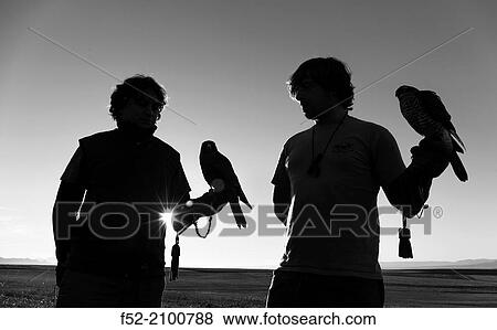 FALCONRY - Cetrer? a, Pancorbo, Burgos, Castilla y Leon, Spain, Europe. View Large Photo Image Stock Photo - FALCONRY - Cetrer? a, Pancorbo, Burgos, Castilla y Leon, Spain, Europe.. Fotosearch
