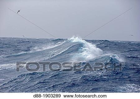Falkland Islands, South Georgia, Antarctic, Ocean waves View Large Photo Image Stock Photo - Falkland Islands, South Georgia, Antarctic, Ocean waves. Fotosearch