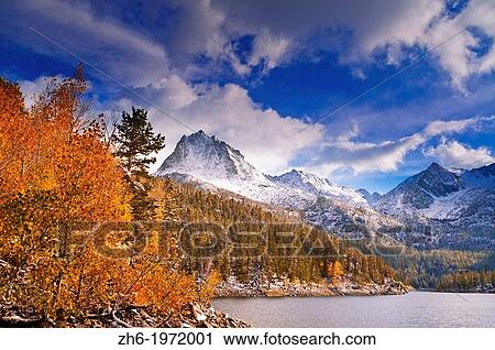 Fall aspens under Sierra peaks from South Lake, John Muir Wilderness, Sierra Nevada Mountains, California USA. View Large Photo Image Stock Image - Fall aspens under Sierra peaks from South Lake, John Muir Wilderness, Sierra Nevada Mountains, California USA.. Fotosearch
