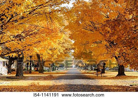 Fall Autumn colors line an old residential street in Lexington Michigan View Large Photo Image Stock Image - Fall Autumn colors line an old residential street in Lexington Michigan. Fotosearch