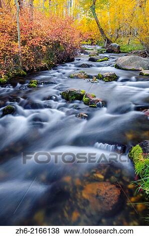 Fall color along Lundy Creek, Inyo National Forest, Sierra Nevada Mountains, California USA. View Large Photo Image Stock Photo - Fall color along Lundy Creek, Inyo National Forest, Sierra Nevada Mountains, California USA.. Fotosearch