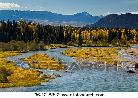 Fall colors on aspen and cottonwood trees along the Snake River, Grand Teton National Park, Wyoming View Large Photo Image Stock Image - Fall colors on aspen and cottonwood trees along the Snake River, Grand Teton National Park, Wyoming. Fotosearch