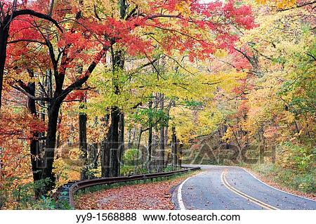 Fall Colors on Road through Pisgah National Forest - near Brevard, North Carolina USA View Large Photo Image Stock Photo - Fall Colors on Road through Pisgah National Forest - near Brevard, North Carolina USA. Fotosearch