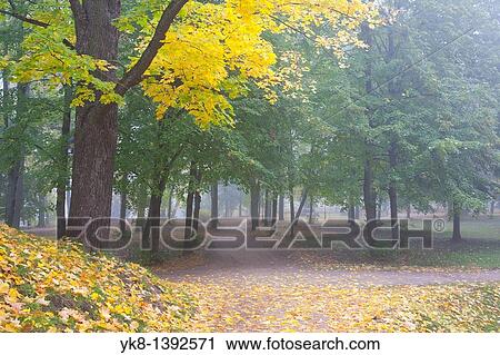 Fall Colours in Dome Hill Park, Tartu, Estonia View Large Photo Image Stock Image - Fall Colours in Dome Hill Park, Tartu, Estonia. Fotosearch