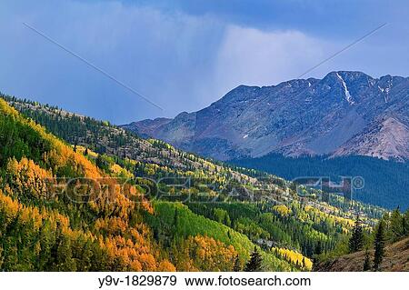 Fall Foliage and Approaching Storm San Juan National Forest Colorado, USA View Large Photo Image Stock Photo - Fall Foliage and Approaching Storm San Juan National Forest Colorado, USA. Fotosearch