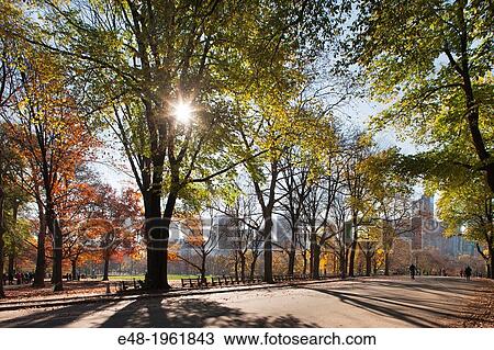 FALL FOLIAGE CENTRAL PARK WEST MANHATTAN NEW YORK CITY USA. View Large Photo Image Stock Image - FALL FOLIAGE CENTRAL PARK WEST MANHATTAN NEW YORK CITY USA.. Fotosearch
