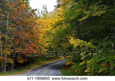 Fall foliage color in the trees along Highway 119 in Michigan's Lower Peninsula, USA. View Large Photo Image Stock Image - Fall foliage color in the trees along Highway 119 in Michigan's Lower Peninsula, USA.. Fotosearch