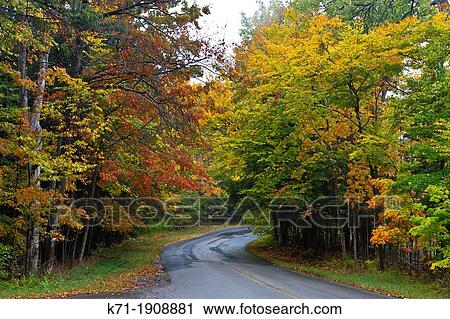 Stock Image - Fall foliage color in the trees along Highway 119 in Michigan's Lower Peninsula, USA.. Fotosearch