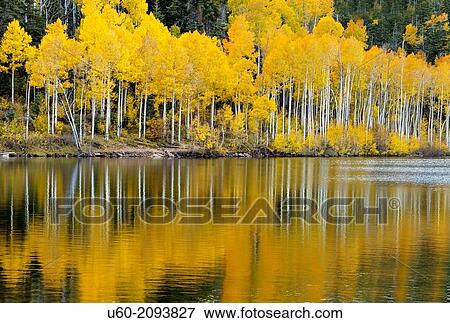 Fall has arrived at Kolob Terrace near Zion National Park, Utah. View Large Photo Image Stock Photo - Fall has arrived at Kolob Terrace near Zion National Park, Utah.. Fotosearch