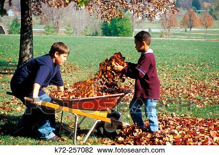 fall leaves View Large Photo Image Stock Image - fall leaves. Fotosearch