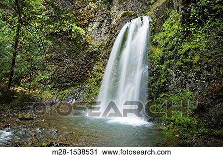 Falls Creek Falls, North Umpqua River, Oregon, USA View Large Photo Image Stock Image - Falls Creek Falls, North Umpqua River, Oregon, USA. Fotosearch
