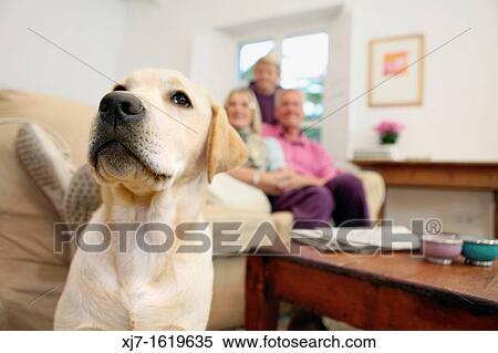 Family and dog at home View Large Photo Image Stock Photography - Family and dog at home. Fotosearch