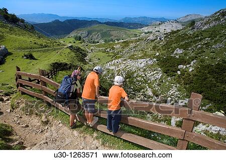 Family practice mountaineering along a route, in the Cornion massif, near to the Covadonga Lakes, in the Picos de Europa National Park, Asturias, Spain View Large Photo Image Stock Image - Family practice mountaineering along a route, in the Cornion massif, near to the Covadonga Lakes, in the Picos de Europa National Park, Asturias, Spain. Fotosearch