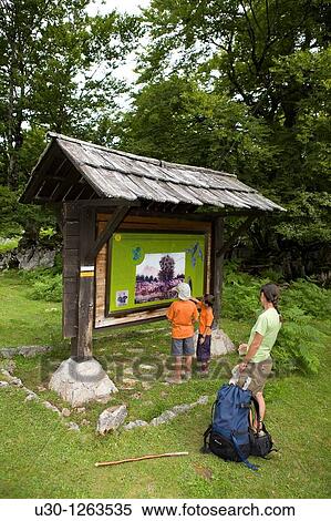 Family practice mountaineering following the marks along a small route, in the Cornion massif, near to the Covadonga Lakes, in the Picos de Europa National Park, Asturias, Spain View Large Photo Image Stock Photography - Family practice mountaineering following the marks along a small route, in the Cornion massif, near to the Covadonga Lakes, in the Picos de Europa National Park, Asturias, Spain. Fotosearch