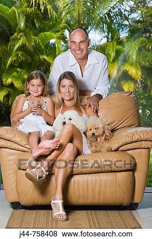 Family sitting on a chair with poodle dogs, smiling, portrait View Large Photo Image Stock Photo - Family sitting on a chair with poodle dogs, smiling, portrait. Fotosearch