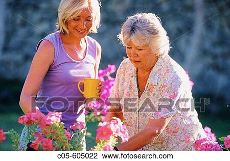 Family View Large Photo Image Stock Image - Family. Fotosearch