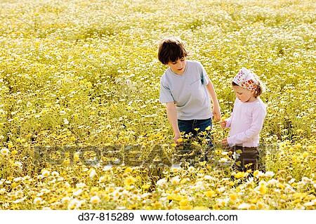 Family View Large Photo Image Stock Photo - Family. Fotosearch